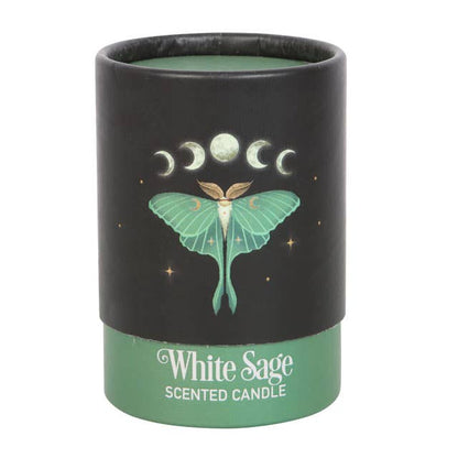 Bougie Luna Moth à la sauge blanche